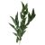Citromos (vietnámi ) eukaliptusz illóolaj